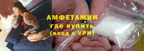 мет Алексин