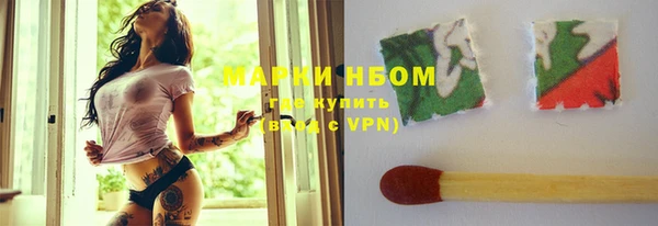 мет Алексин