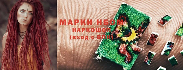 мет Алексин
