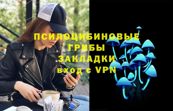 твердый Алексеевка