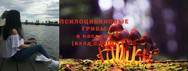 твердый Алексеевка