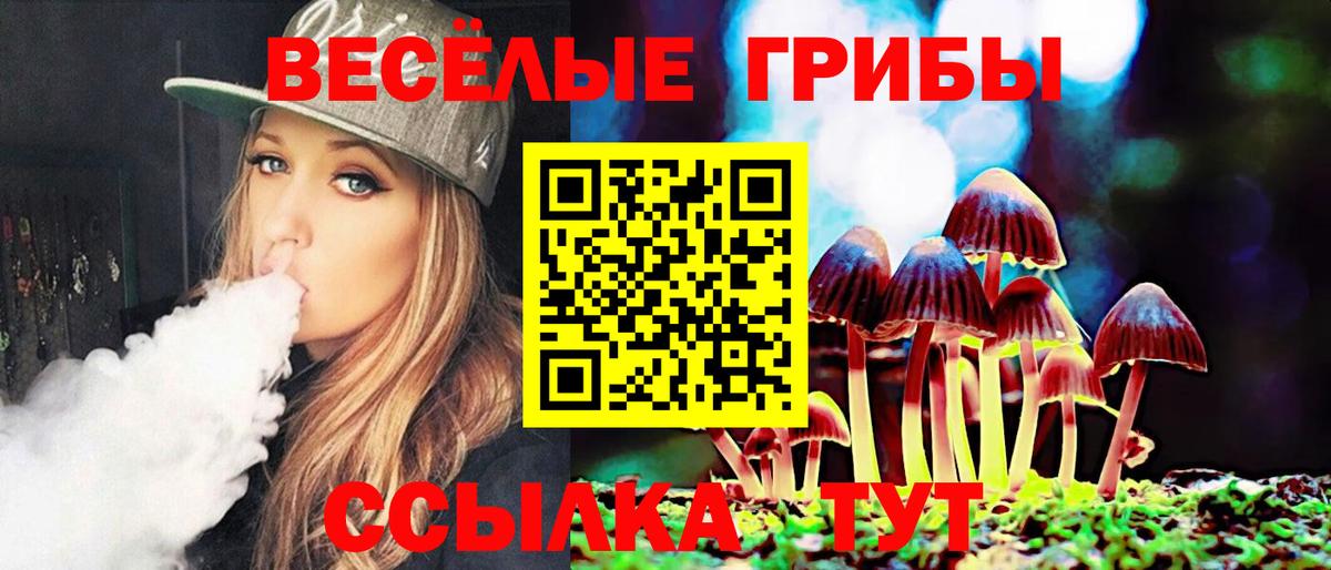 Псилоцибиновые грибы Cubensis Лесосибирск