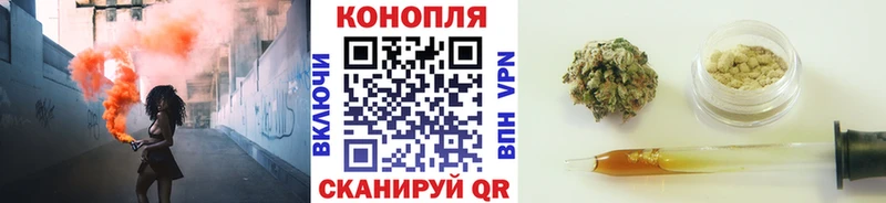 Бошки марихуана семена  Лесосибирск 